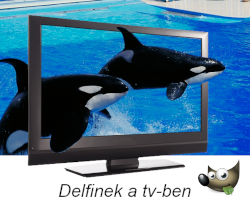 delfinek minta