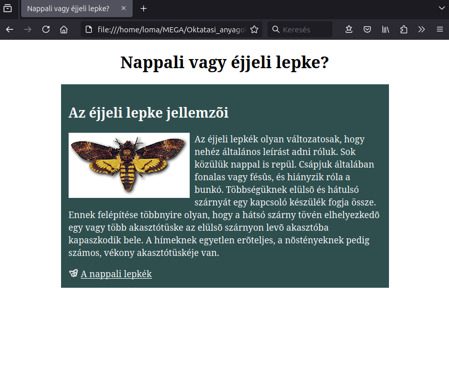 éjjeli lepkék minta