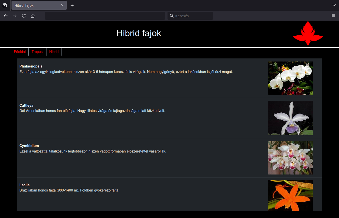 hibrid.html minta
